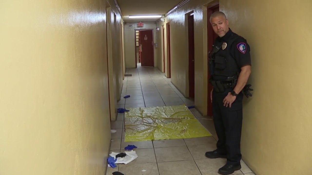 Man fatally shot in hallway of Lauderhill apartment building