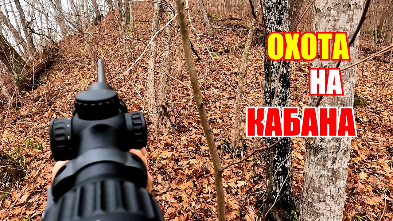 Охота на кабана