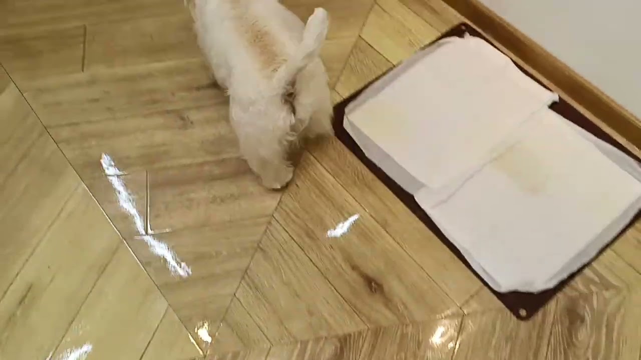 洸ちゃんと遊ぶ♪