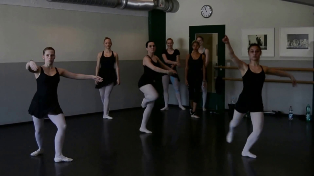 Professional Dance Academy Tanzausbildung Ballett Unterricht