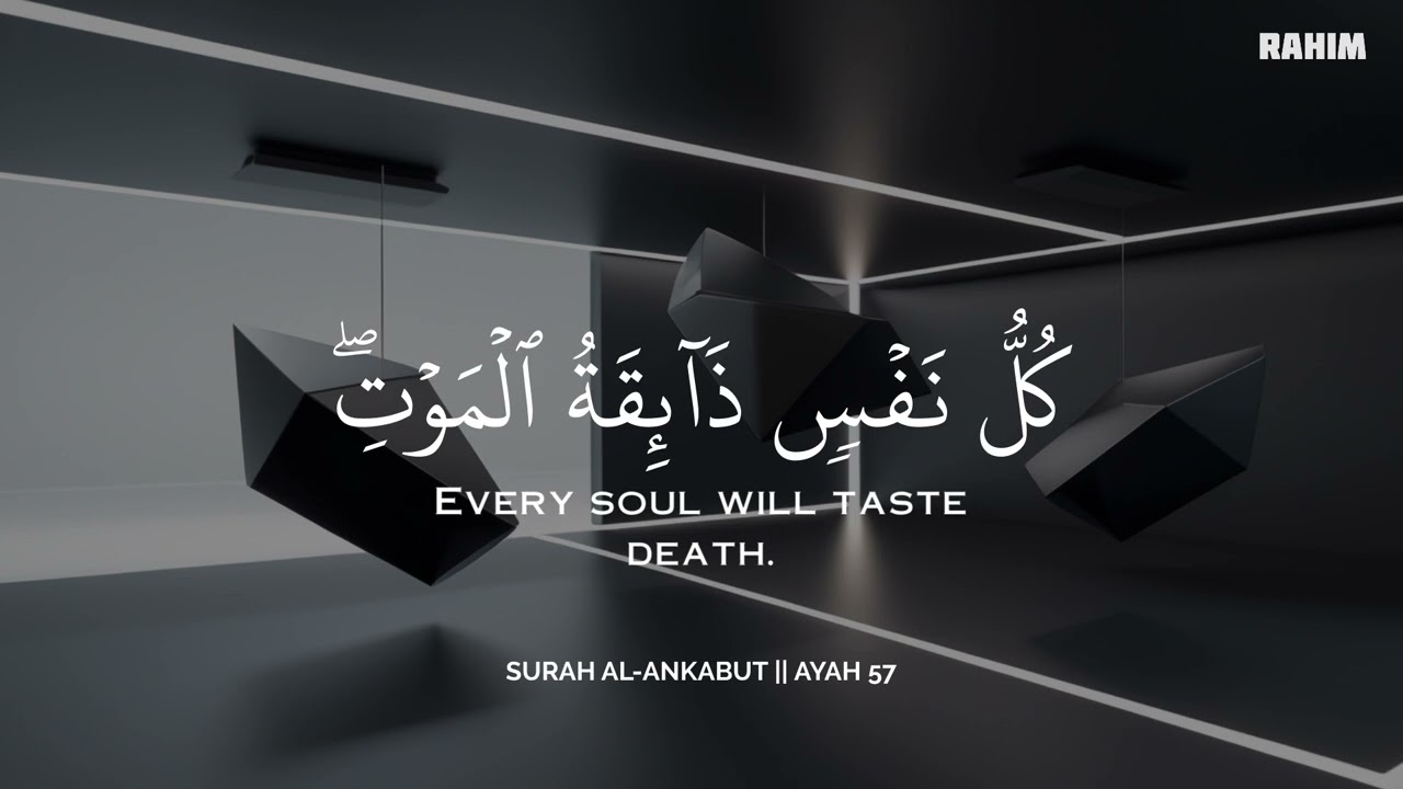 رح سمعك وقلبك بالقرآن❤️🎧 وأستمع لتلاوة هادئه بصوت محمد هشام | راحة نفسية😌 | Mohamed Hesham