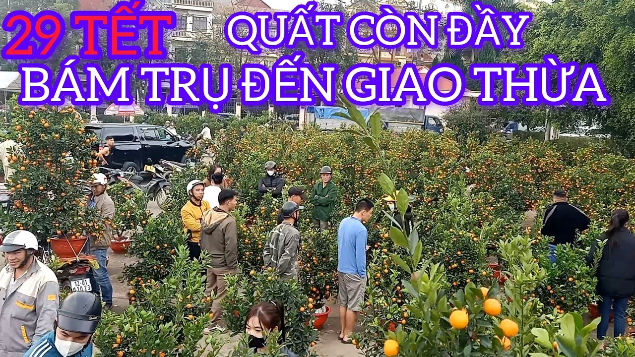 CẢNH TƯỢNG QUẤT CHẤT ĐỐNG NGÀY 29 CÓ LẼ VỚ NỢ RỒI CÒN GÌ 
