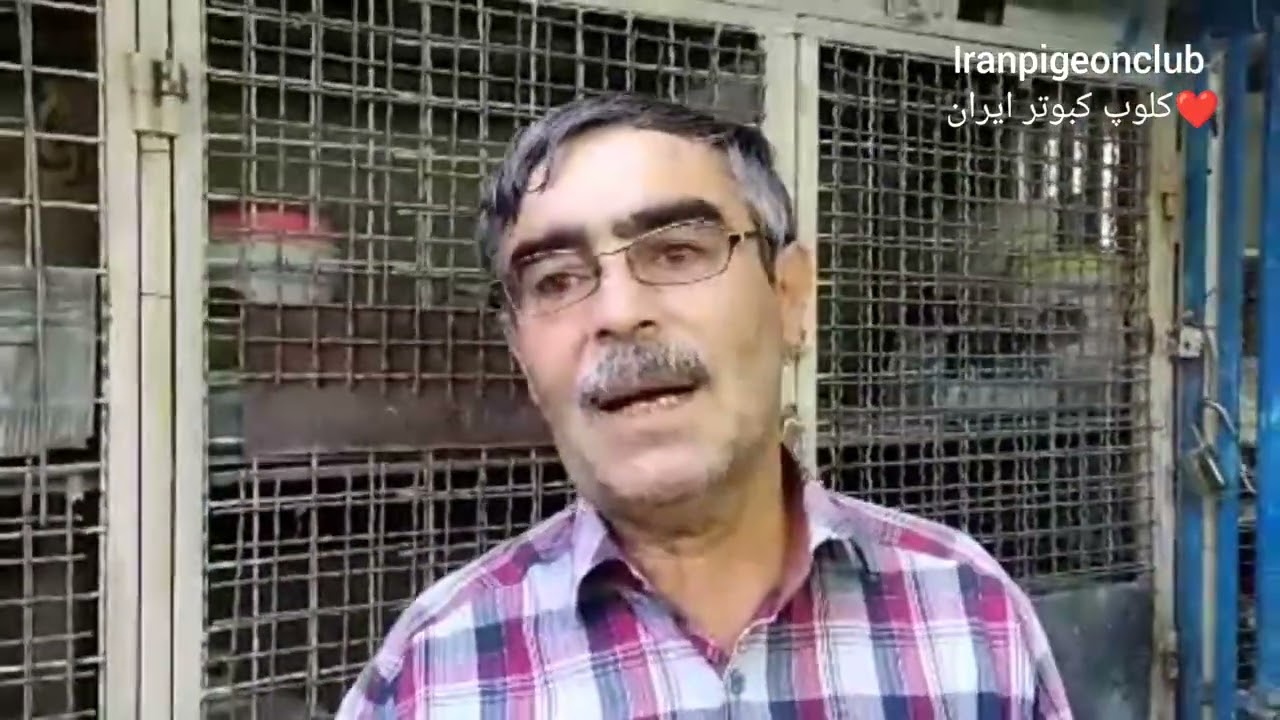 ❤️کبوترا و سخنان آقای حاج احمد رمضانی از تهران_دولاب Iranian high flyers pigeon
