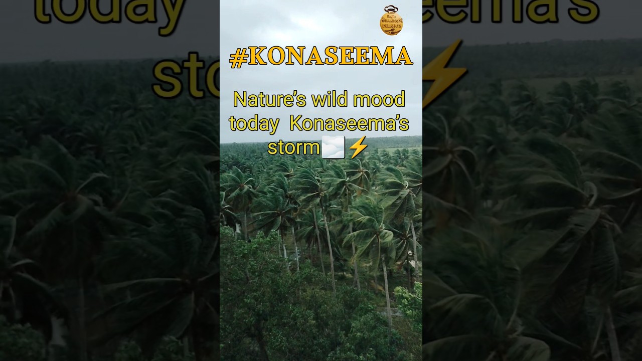 Konaseema&rsquo;s Stormy Mood Raw & Real Nature 🌧️ #monthacyclone #konaseema #yt  @Healthy_Cook-d9d