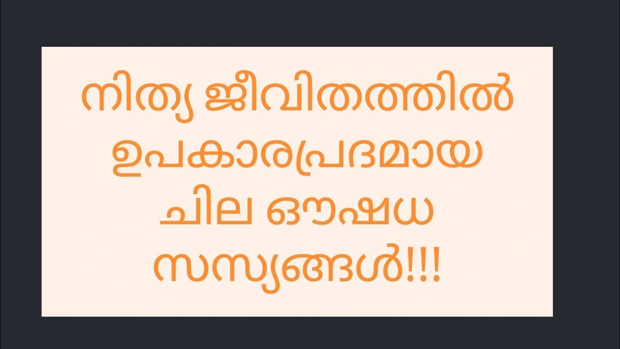 Meenakshi is live! ഇതൊക്കെ വീട്ടിൽ വളർത്താം! #live #youtube #livestream