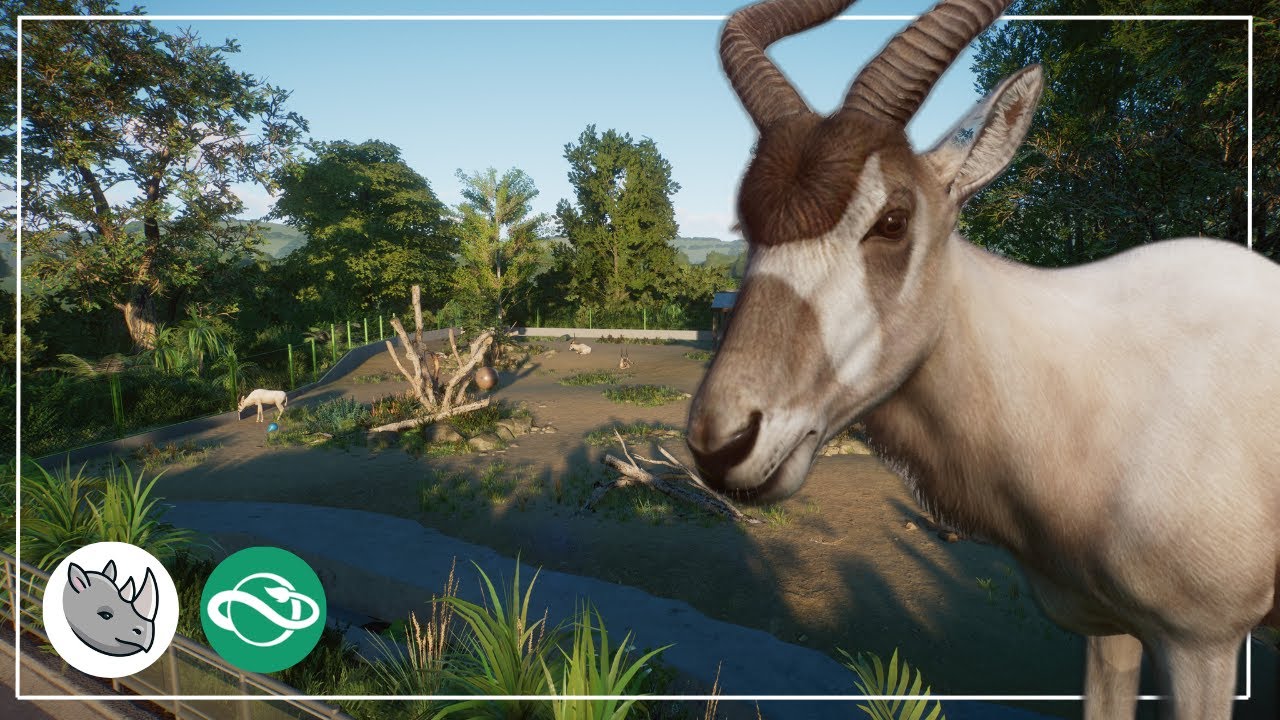Addax | One habitat wonder | Speed build | Planet zoo