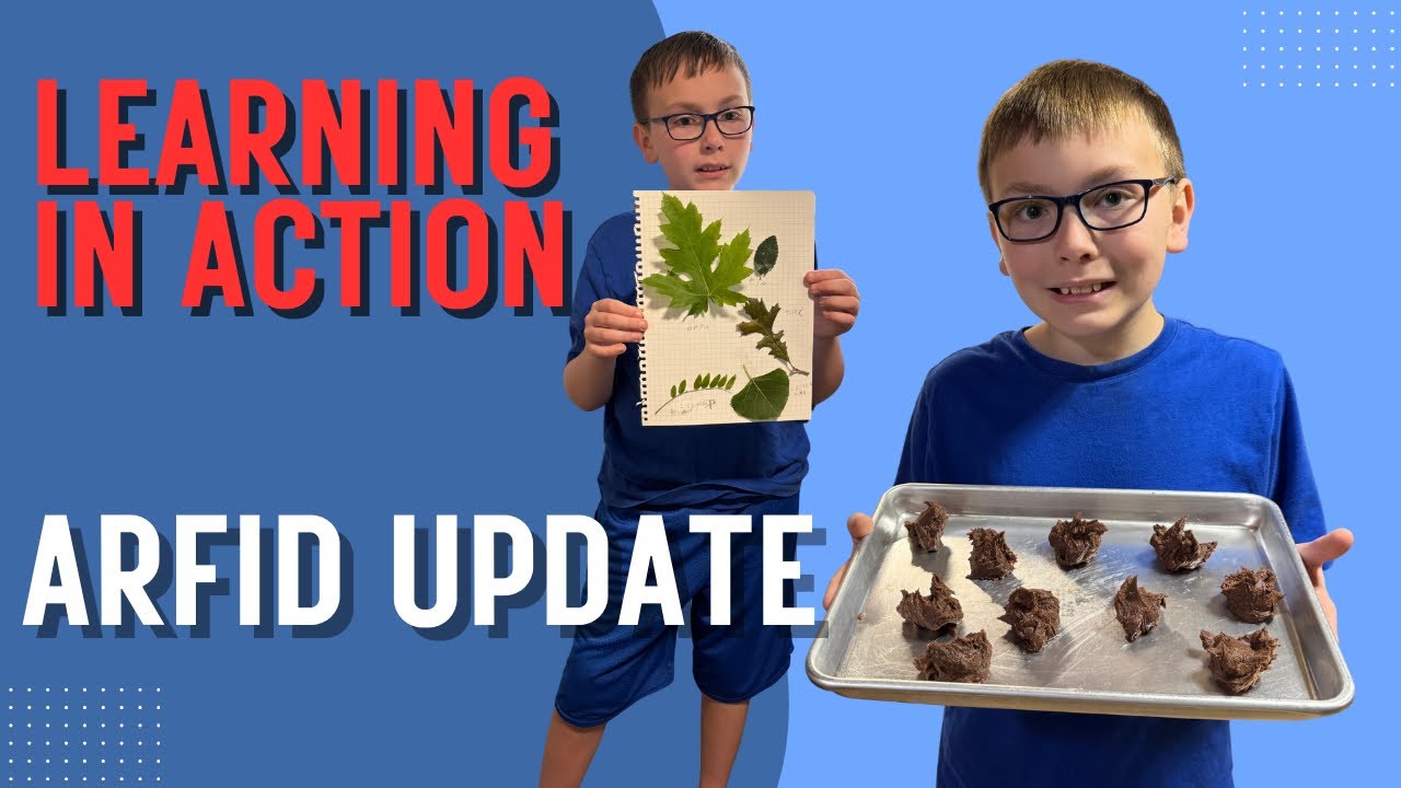 Fostering a Love of Learning | Trying New Foods with ARFID |  Learning in Motion