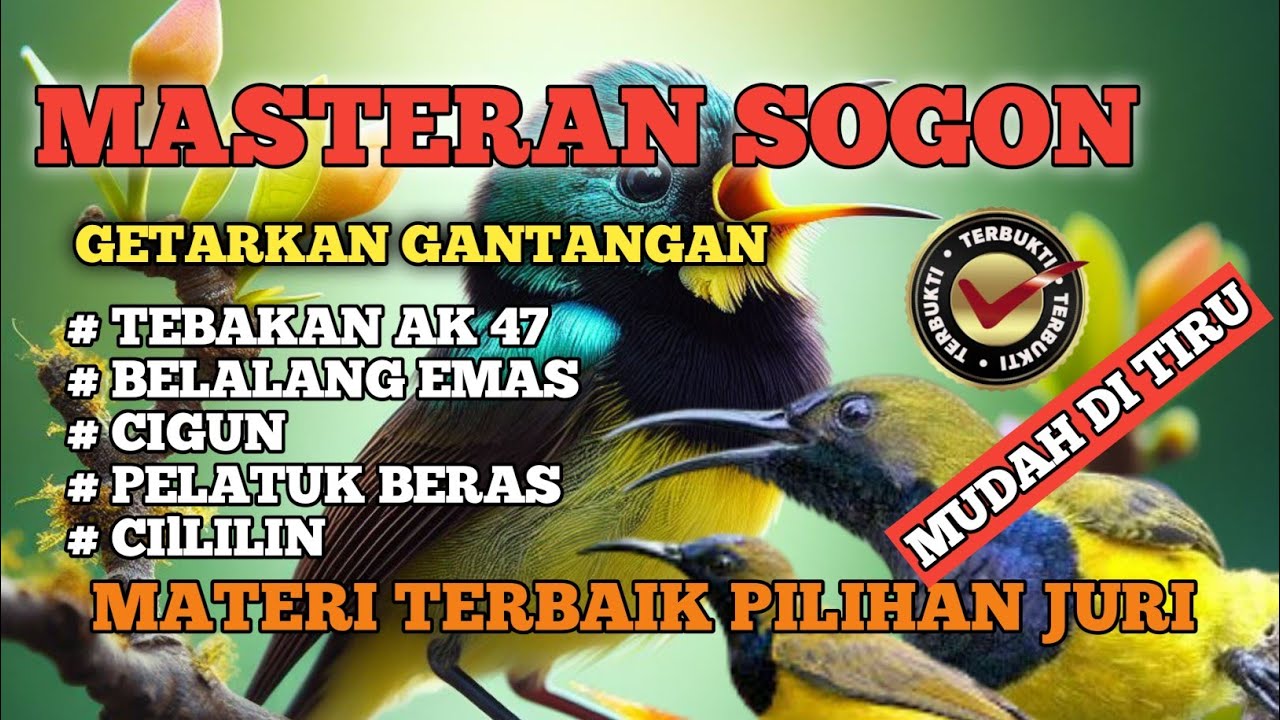 2 jam Masteran sogon‼️siap getarkan gantangan tembakan AK 47  ngebren idola para juri