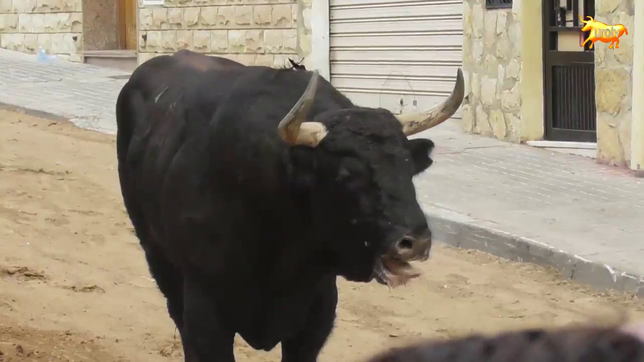 Vall de Ux&oacute; (CS) 13-10-2017 Stmo Cristo de Carbonaire