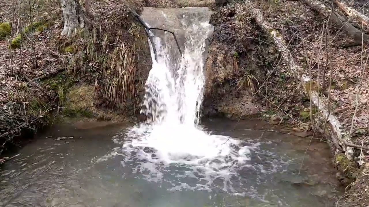 15 февраля 2026 г.