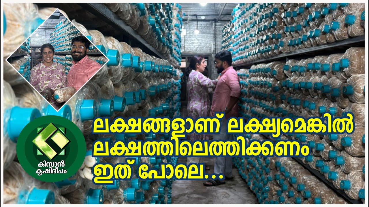 Kissan Krishideepam Episode-1113 The story of a family who are doing innovative mushroom farming
