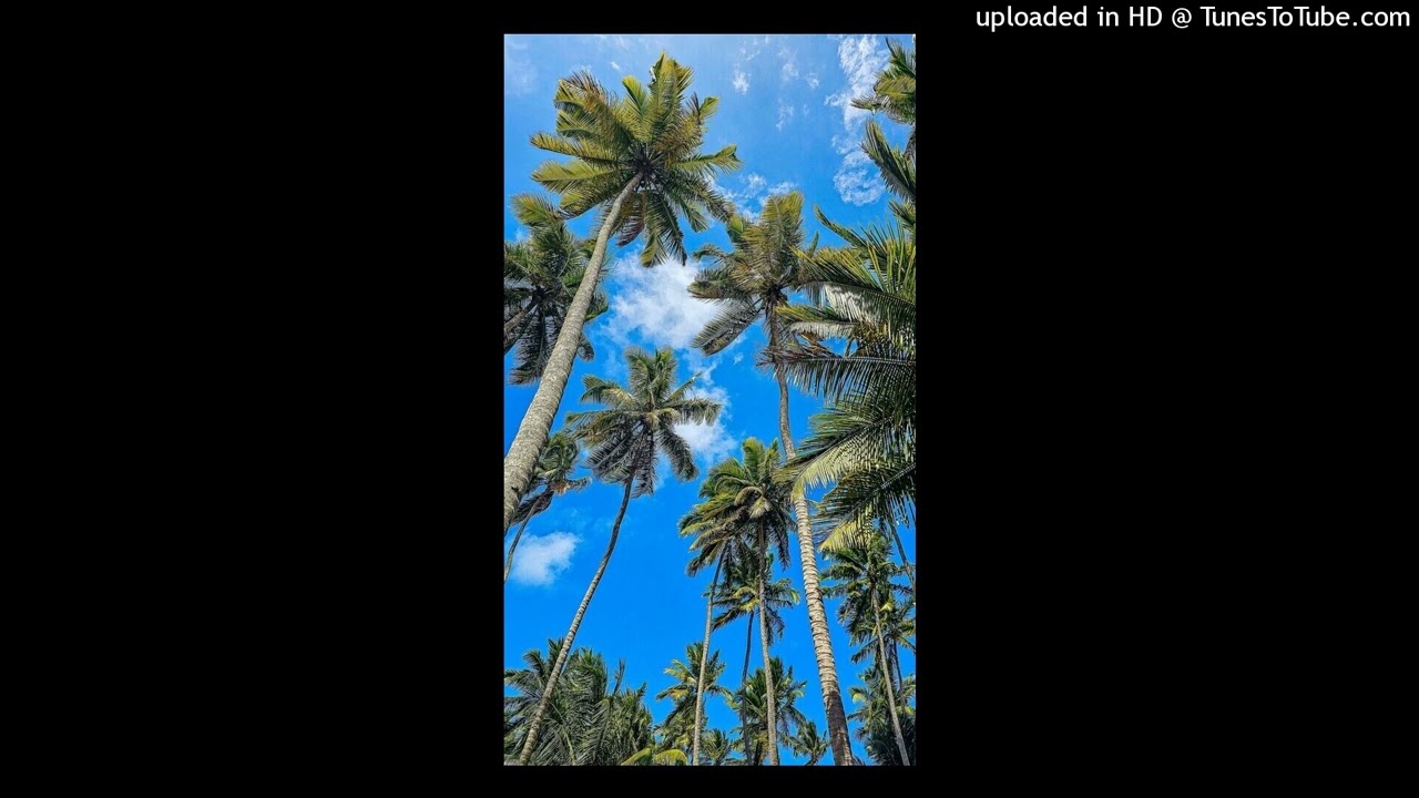 (FREE) Kapo x Beéle x Afrobeat type beat 