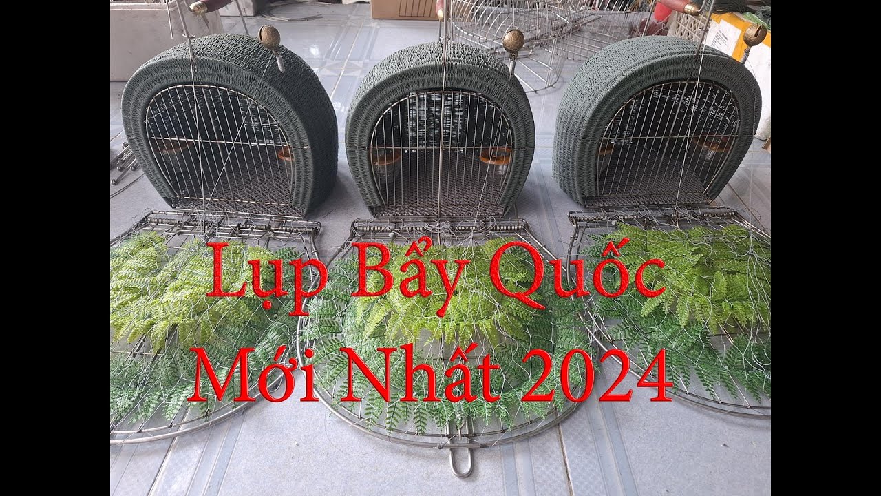 Lụp Bẩy Quốc Mới Nhất 2024/Tam Hoang Da Tv