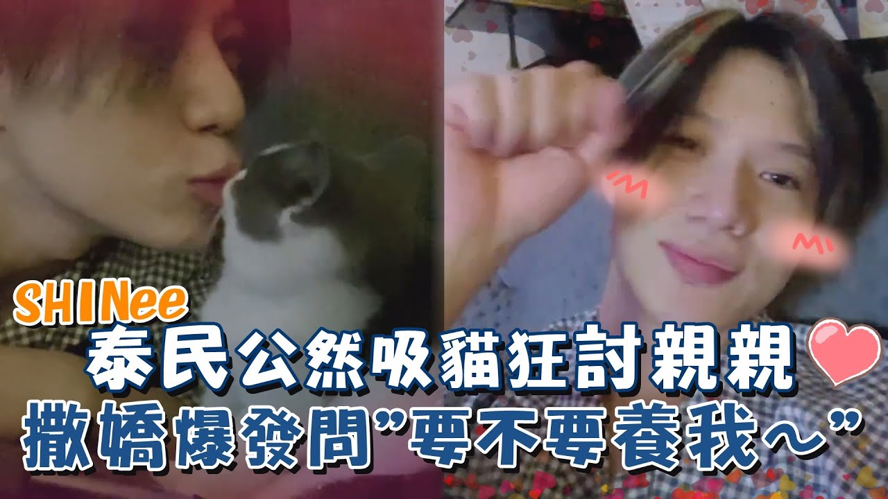 羨慕就輸了( ´•̥̥̥ω•̥̥̥` ) SHINee泰民公然吸貓狂討親親 撒嬌爆發問粉絲