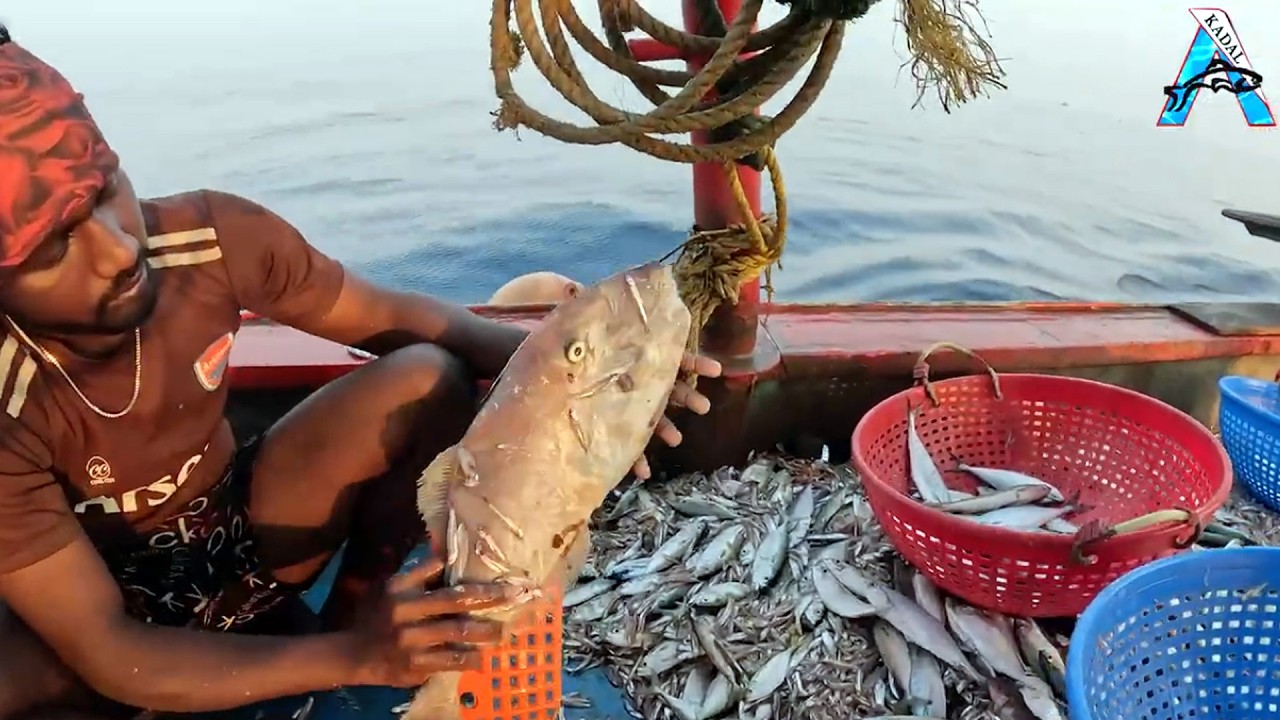 Epic Ocean Fishing | Monster Sea Catfish Catch | Amazing Boat Fishing |Monster Catfish Caught at Sea
