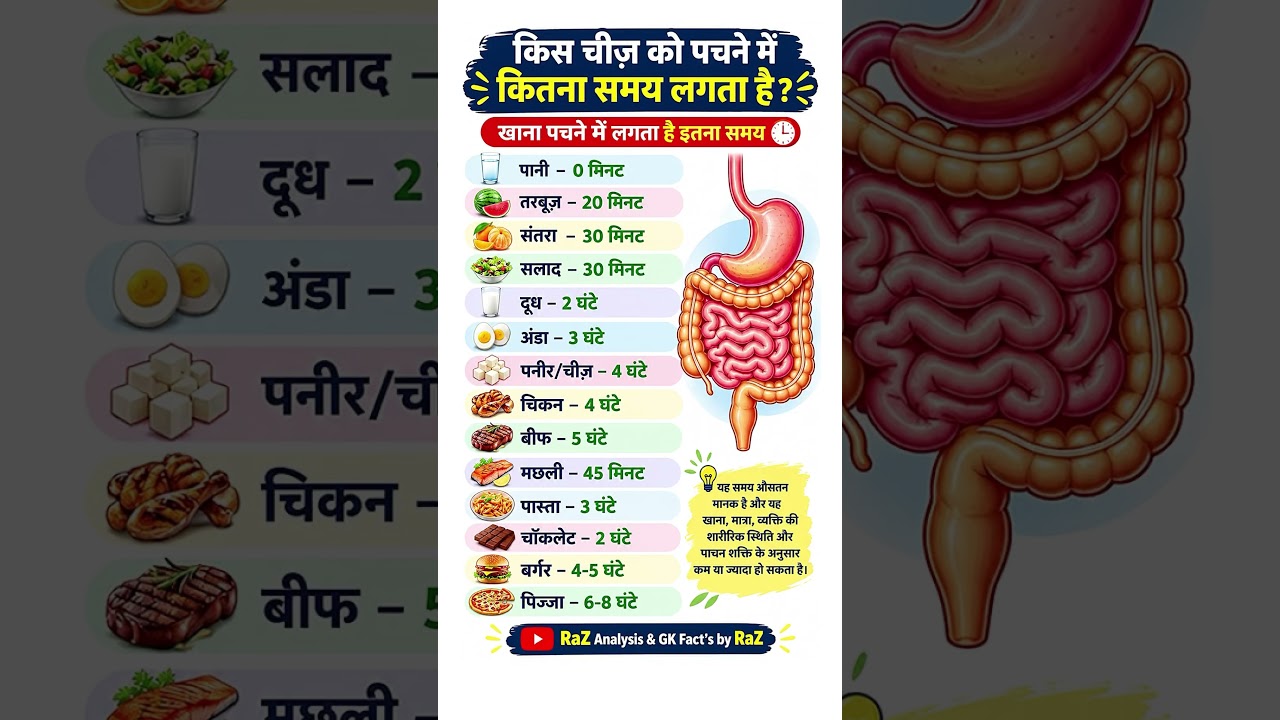किस चीज को पचने में कितना समय लगता हैं ⏰ Food Digestion Time Facts #shorts #facts #gk