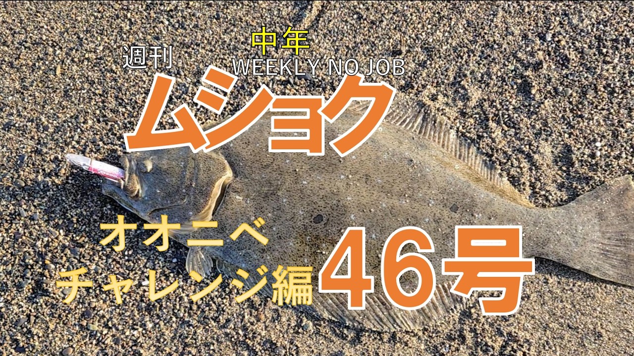 週刊中年ムショク46号