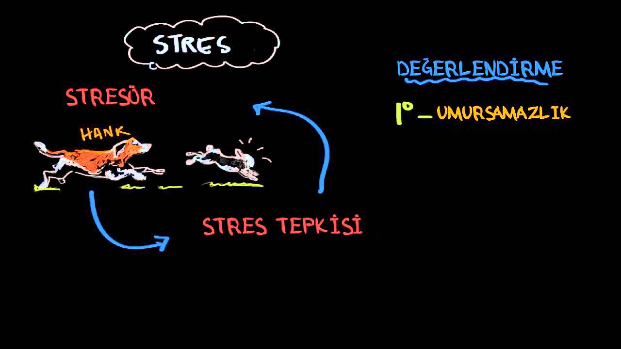 Stres Nedir? (Psikoloji / Çevreyi Algılama)