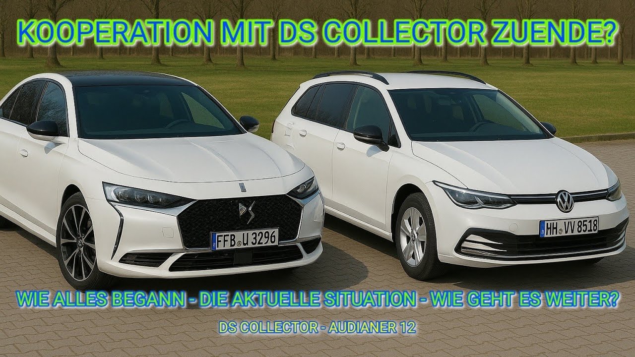 Mein STATEMENT zu meiner ZUSAMMENARBEIT mit DS COLLECTOR | Wie GEHT es hier WEITER?