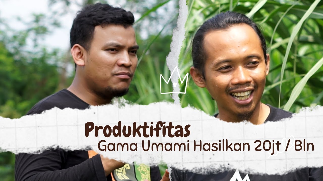 Bongkar Tips Tanaman Rumput Gama Umami Yang Hasilkan 20jt Perbulan
