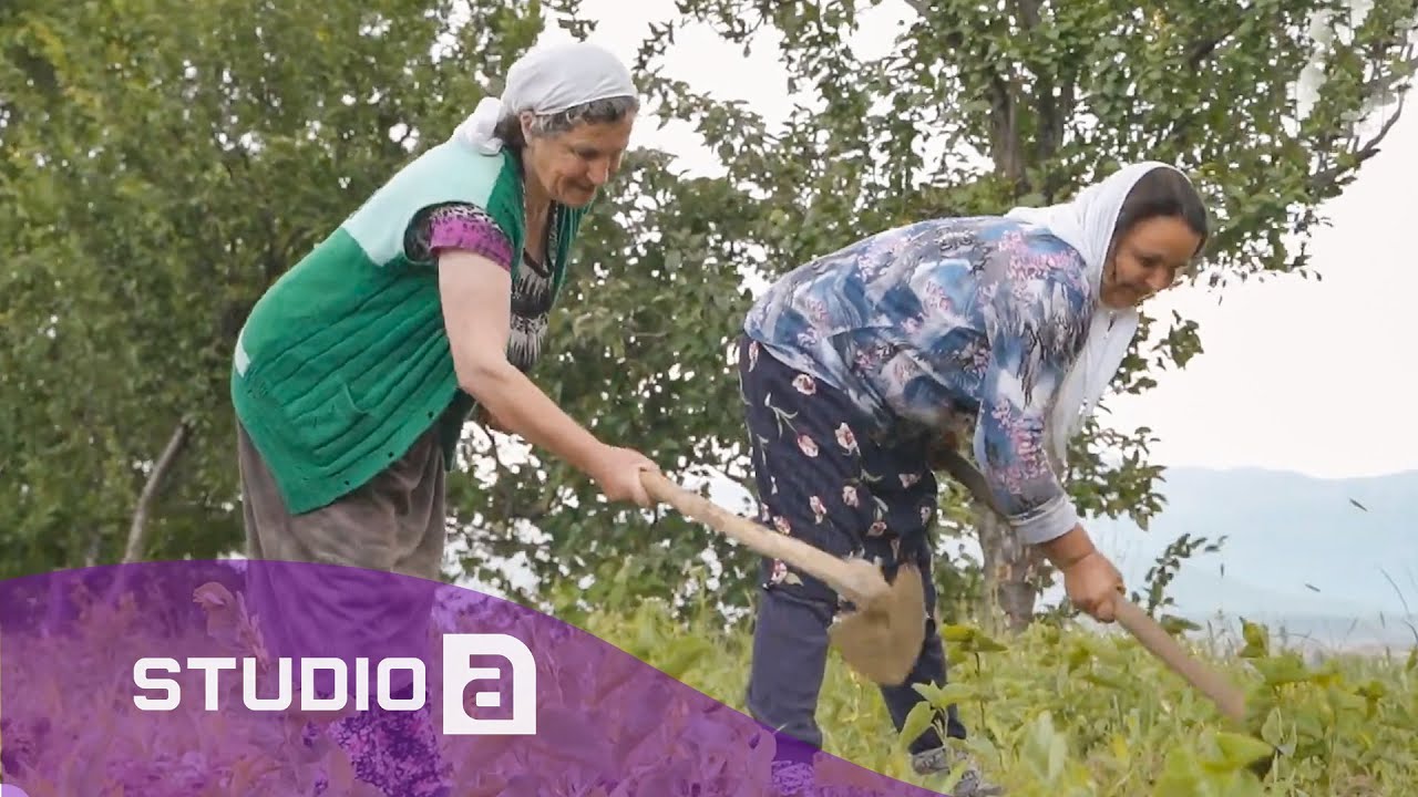 Toka që punohet vetëm nga gratë - ATV