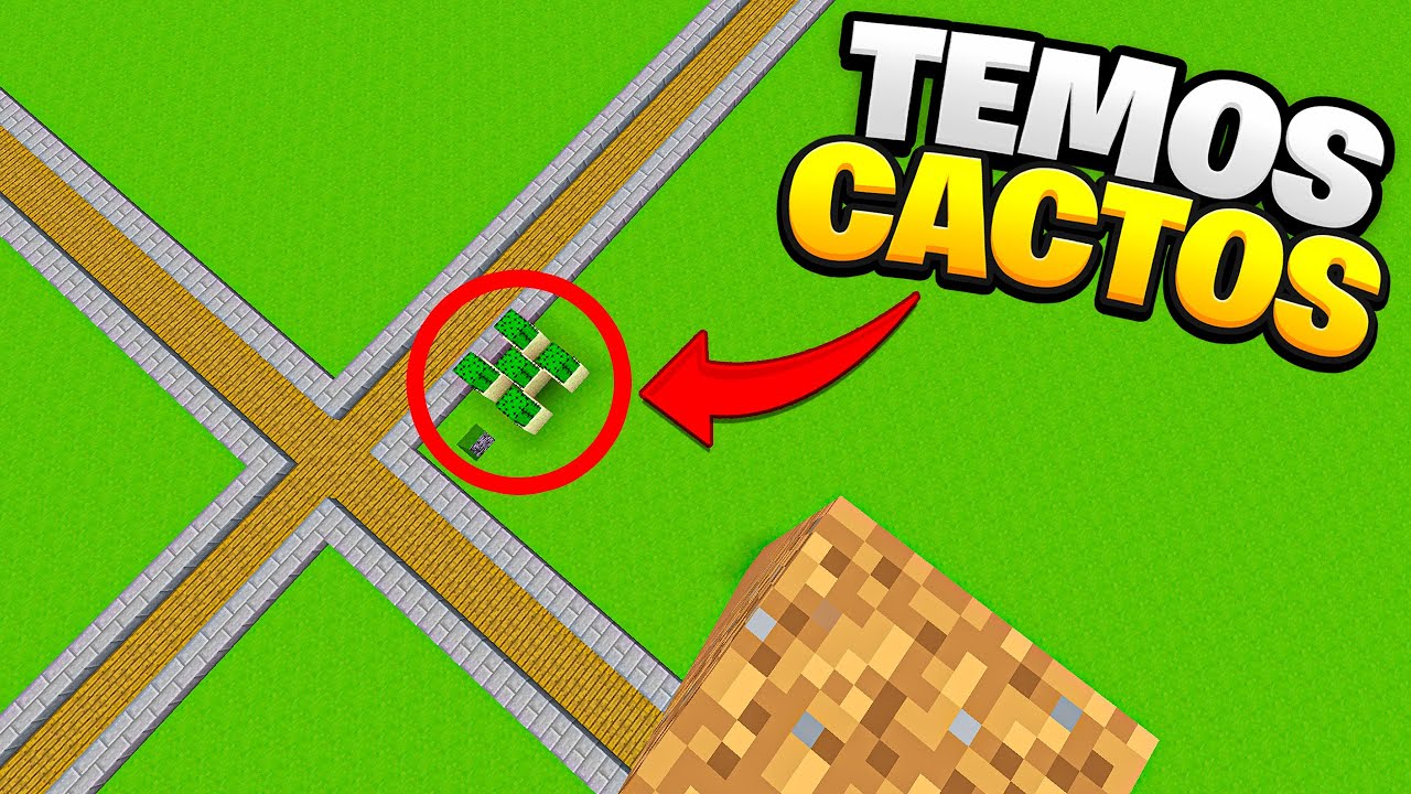 ⭐Minecraft : Mega farm de cacto!! SQN