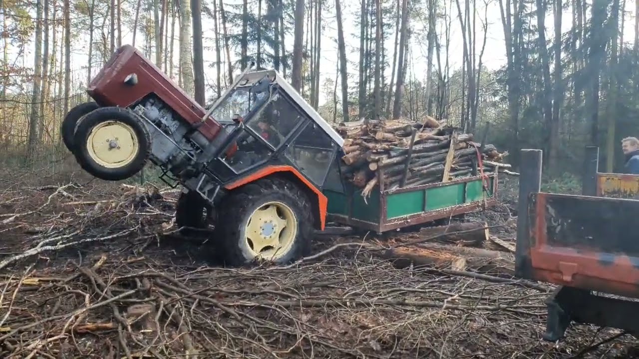 Ursus c360 c4011 Akcja Las Merlo wyciąganie przyczepy z drewnem