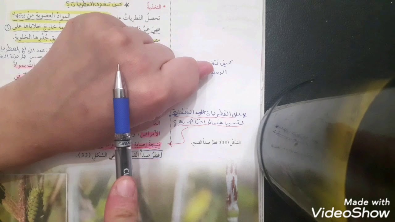 الفطريات/العلوم الحياتية/الصف العاشر/المنهاج الجديد/ف١