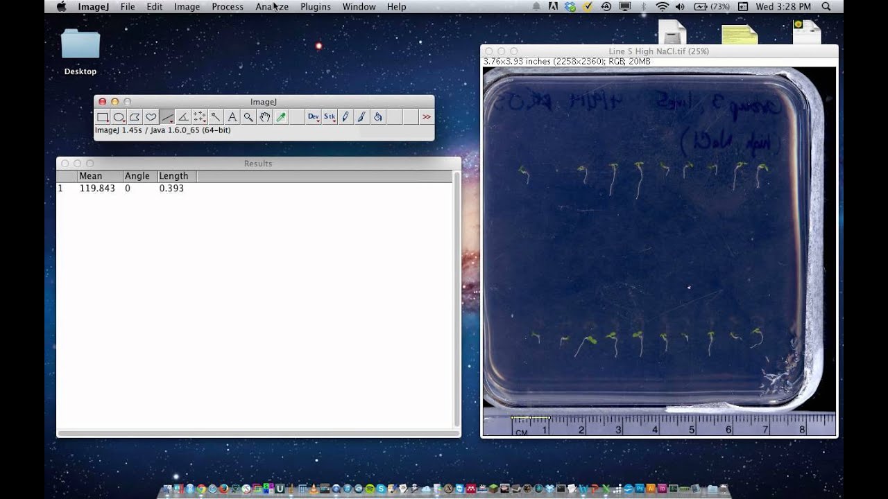 ImageJ Tutorial - Measuring Lengths and Angles
