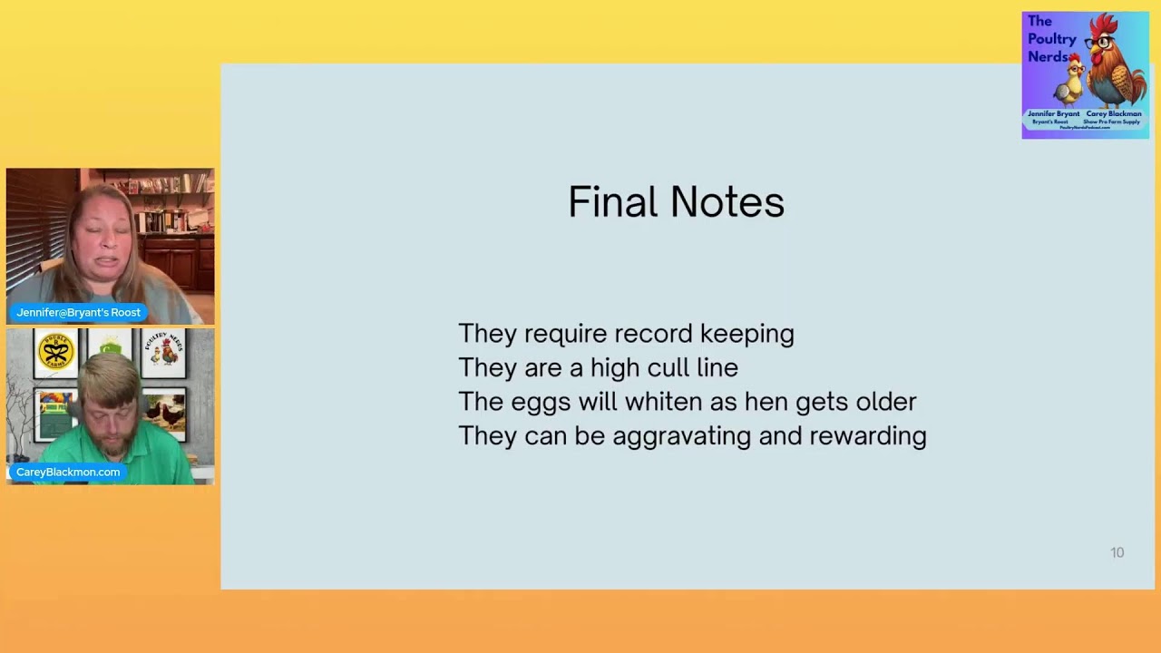 Celadon Quail Eggs: Blue Egg Genetics, Breeding Myths & What “True Blue” Really Means