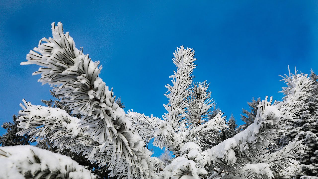 Winterwonderland Mühlviertel