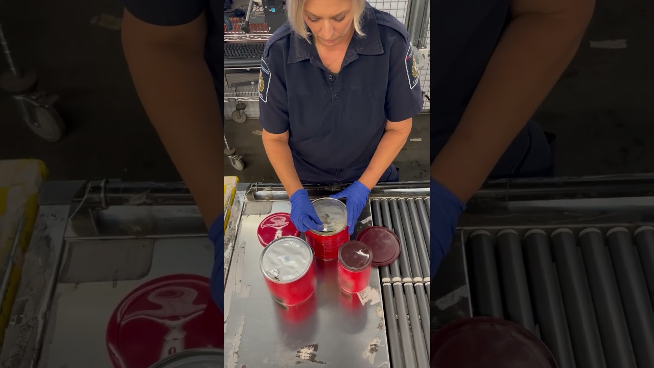 Border Bust: Psilocybin Powder