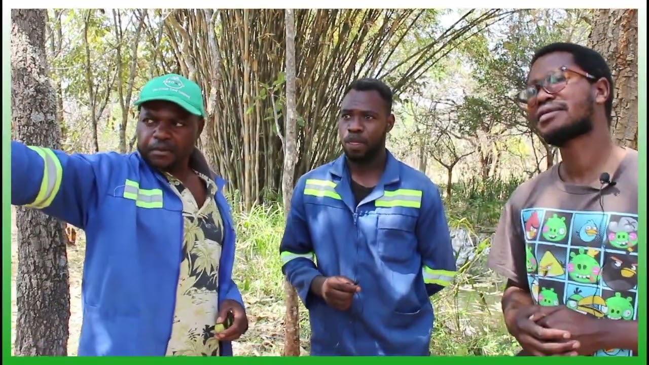 A Conversation with Tree Experts Sam & Lovemore | Trees for Zambia