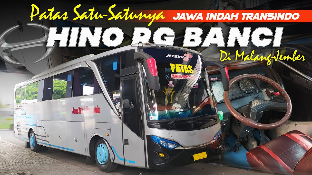 HINO RG BANCI KELAS PATAS SATU-SATUNYA DI JALURNYA❗❗Jawa Indah Transindo Patas Malang-Jember..🔥