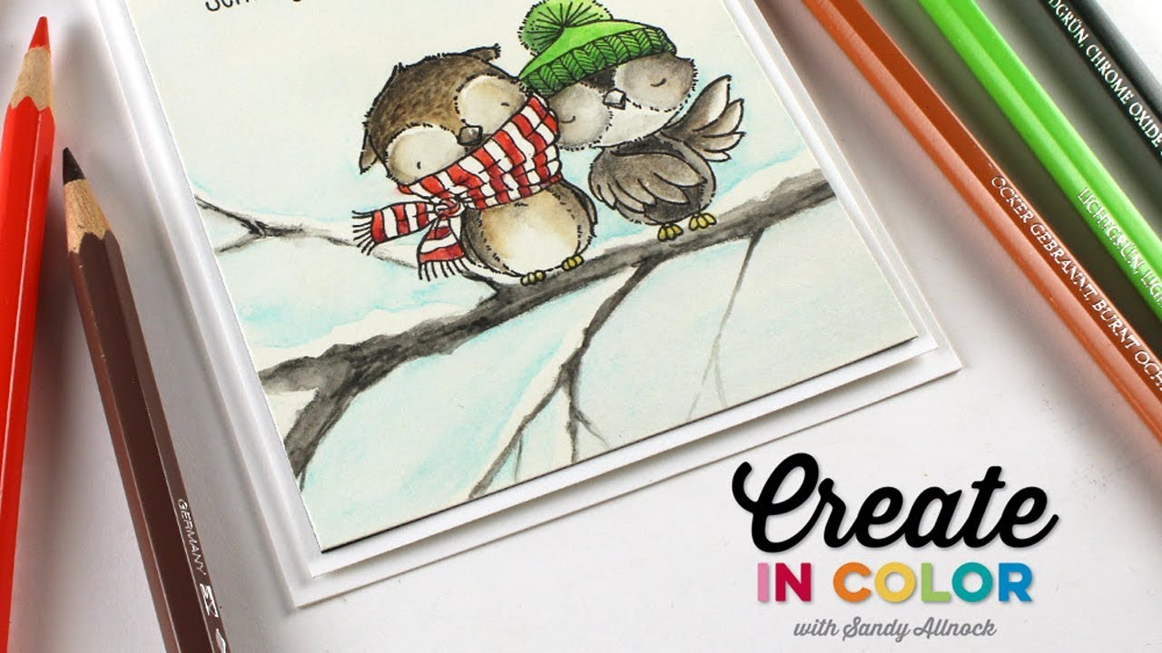 Create in Color with Sandy Allnock: Christmas Owls with Watercolor Pencils