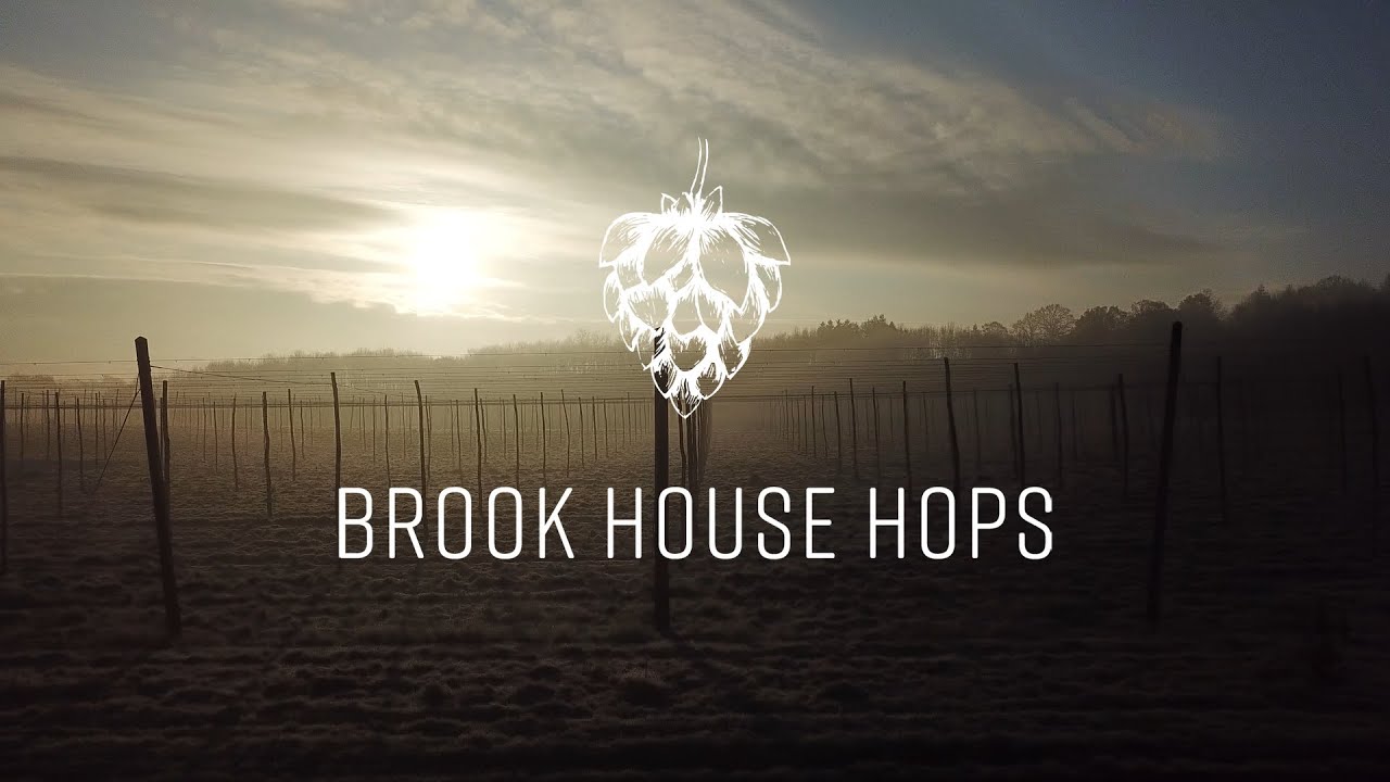 Brook House Hops | A hop farm with a rich history and how they revolutionised the hop industry