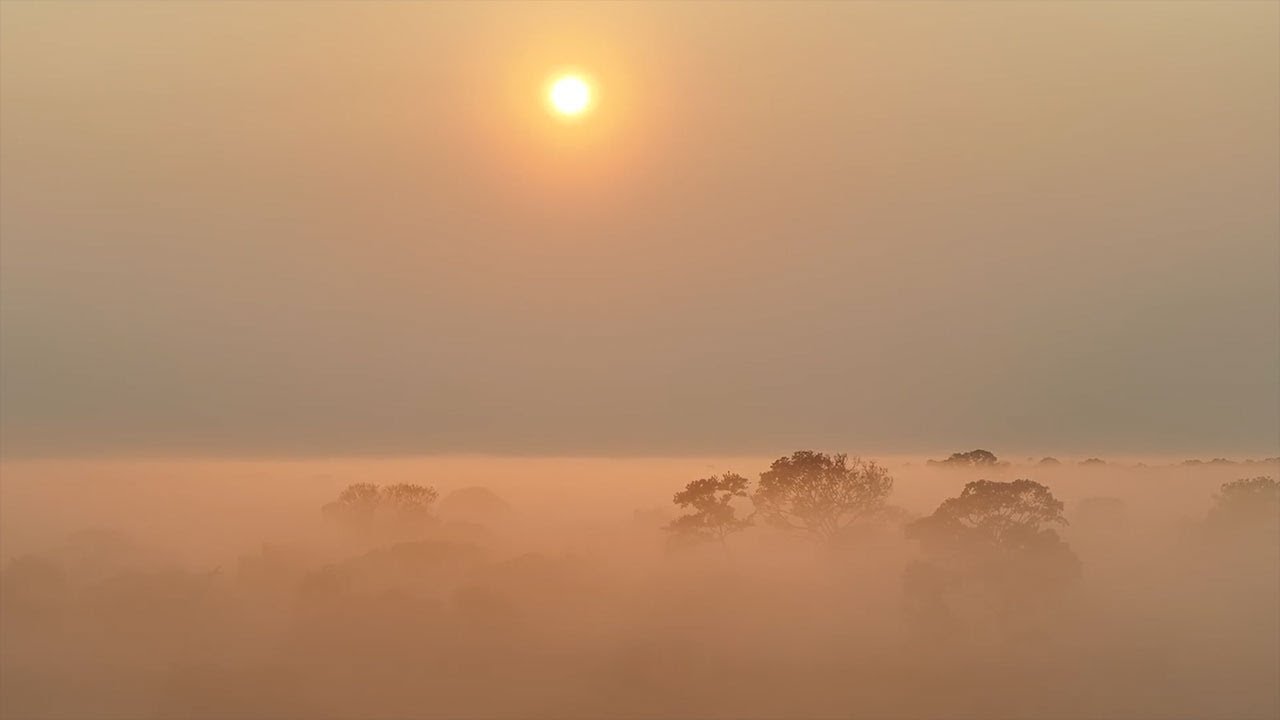 Trazendo Luz para Vila Limeira: A Primeira Comunidade 100% Solar no Sul do Amazonas, Brasil