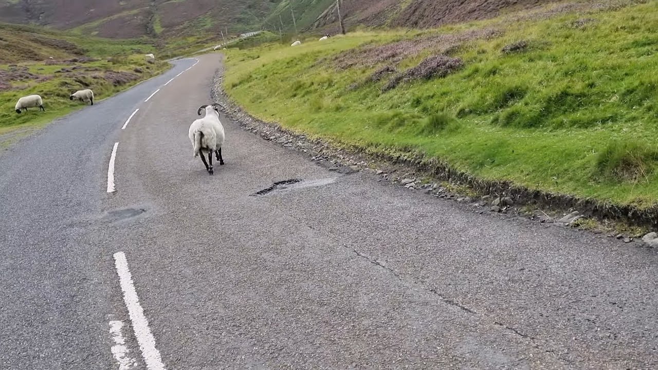 GallowWay Scotland, Haven on Earth. MENNOCK PASS