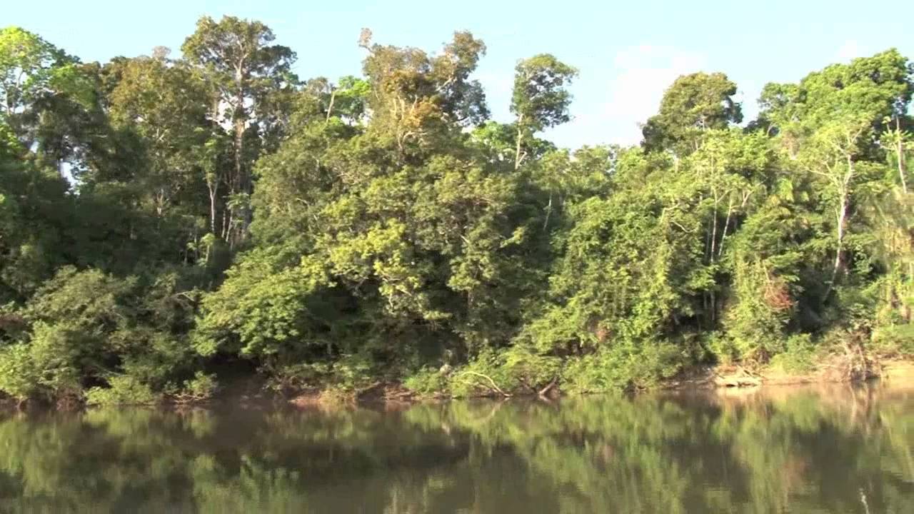 Beautiful Rupununi, Guyana