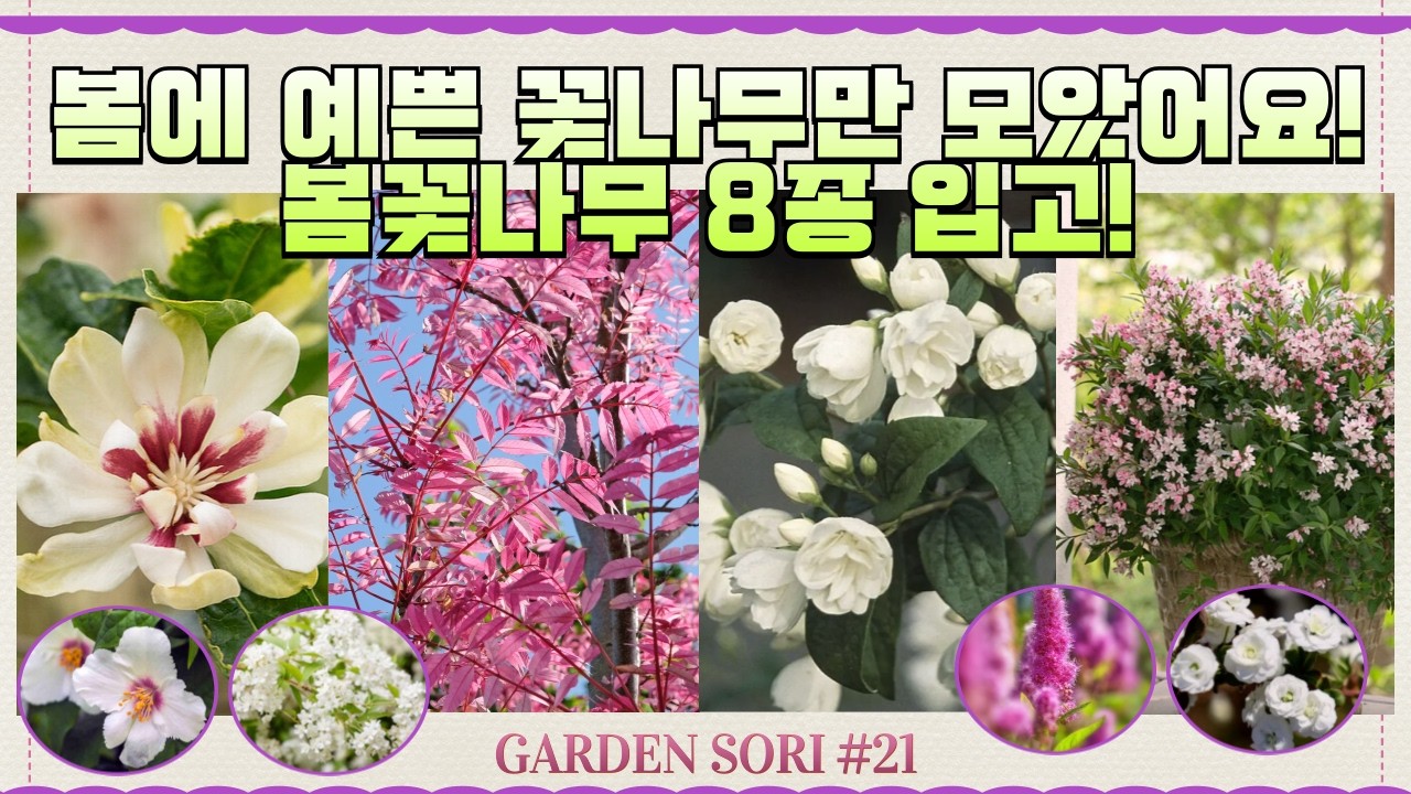 봄 화단을 한 번에 완성하는 꽃나무 8종 라인업