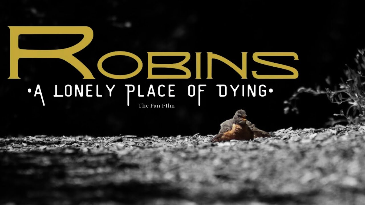ROBINS: A Lonely Place of Dying | DC Fan Film (2025)