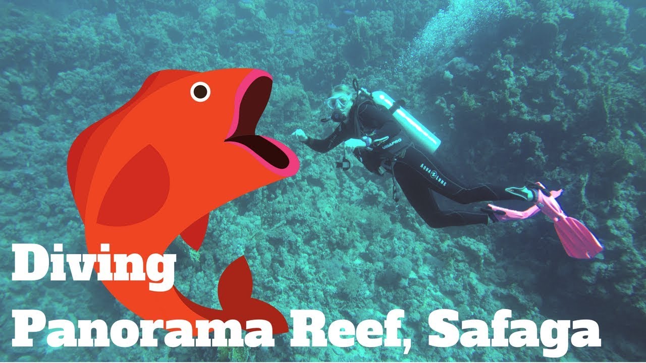 TAUCHEN SAFAGA Panorama Reef, SCUBA DIVING Hurghada Secret Spots