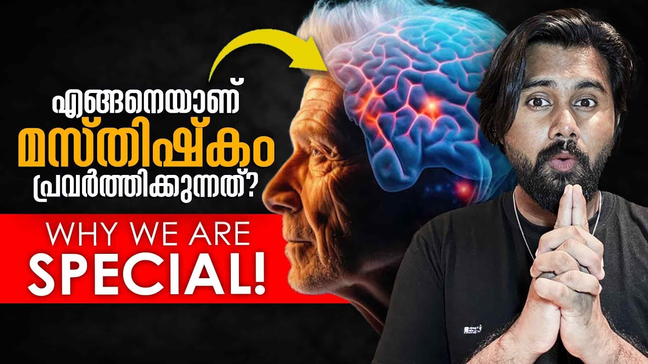 How Does The Brain Work Explained in Malayalam | How Do We Think?