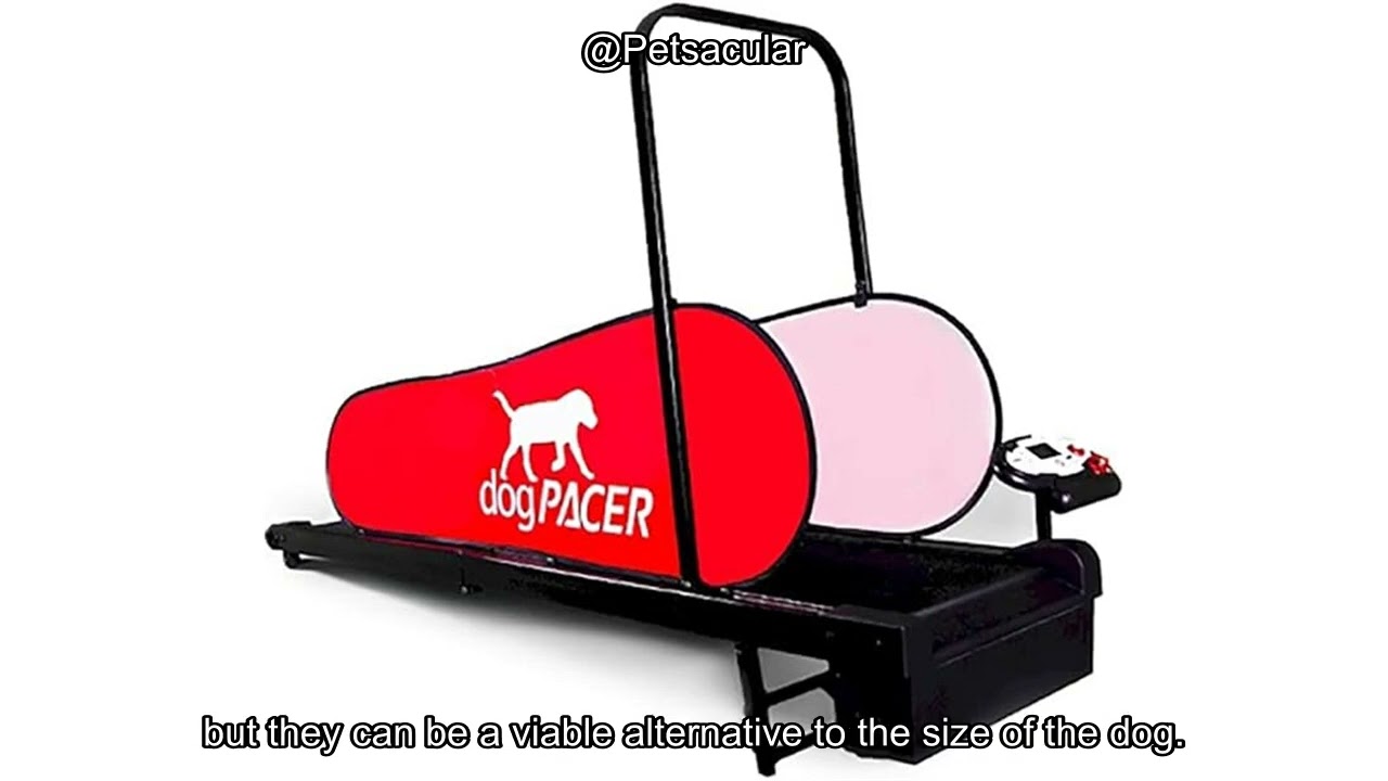 91641 LF 3.1 Dog Pacer Treadmill Review: Is It Worth the Investment for Your Pet?