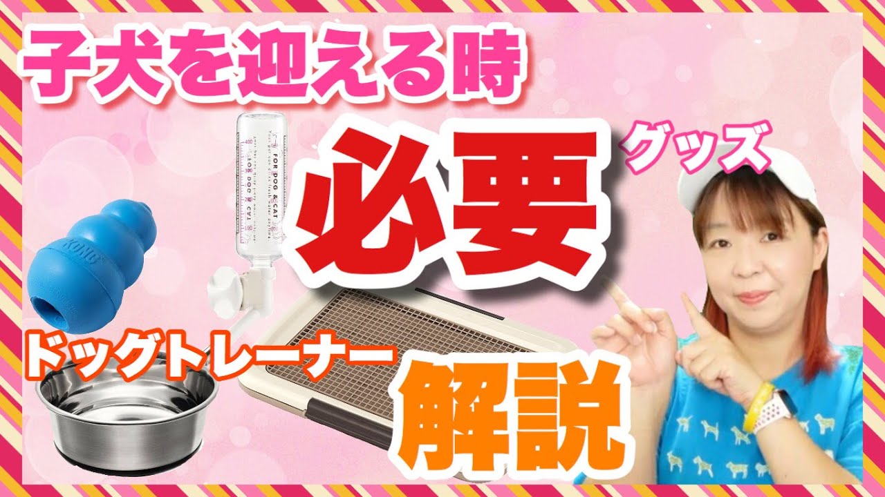 子犬を迎える時に必要なグッズをドッグトレーナーが解説＆ご紹介　犬用品編【保存版】