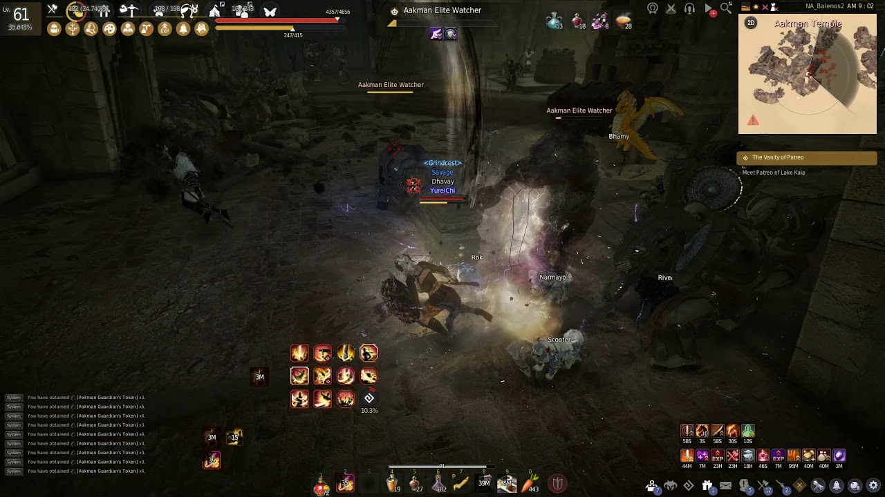 Black Desert Online Succesion Guardian Aakman First time (240 AP)