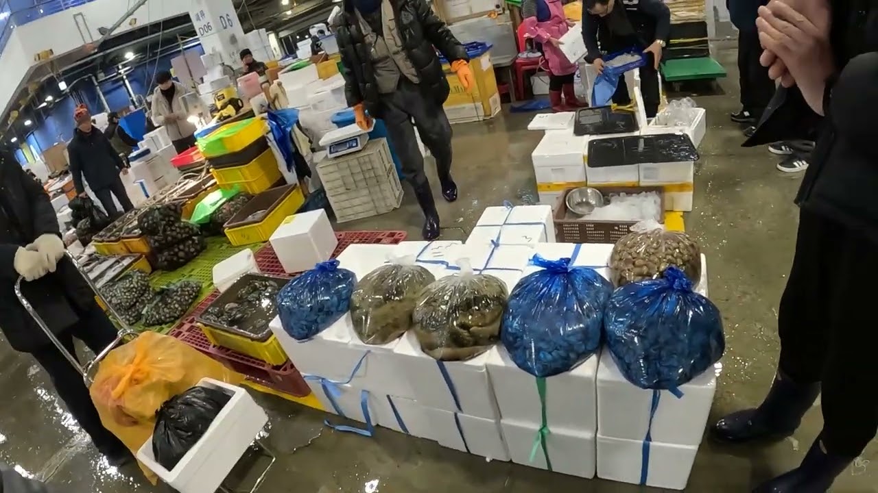 [26.01.10]🐟노량진 수산시장 가격 탐방😎시장 간판 색의 의미는?