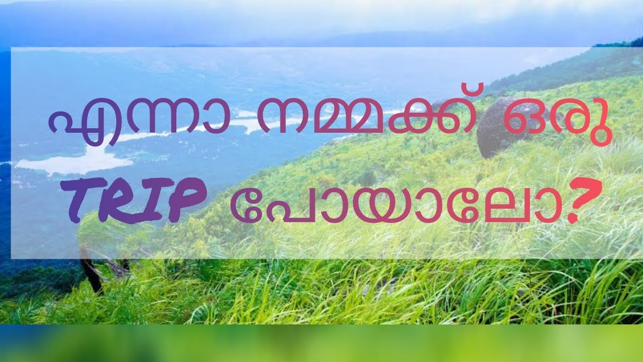 എന്നാ നമ്മക്ക് ഒരു Trip പോയാലോ ?#trip #ilaveezhapoonchira #onedaytrip