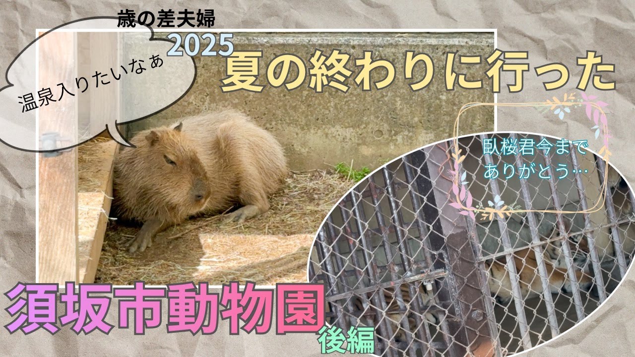 夏の終わり頃に須坂市動物園へ　後編