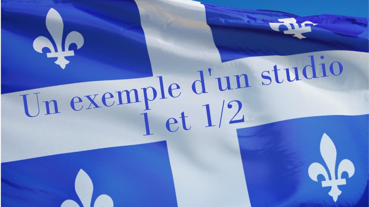 Un exemple d'un studio 1 et 1/2